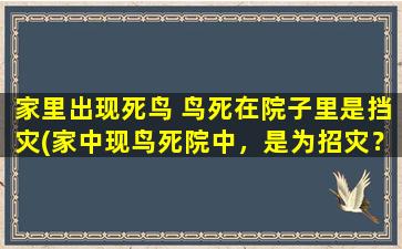 家里出现死鸟 鸟死在院子里是挡灾(家中现鸟死院中，是为招灾？解析背后的传说和预兆)